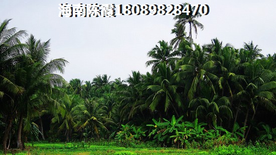 2022刚需怎么在湘西买房